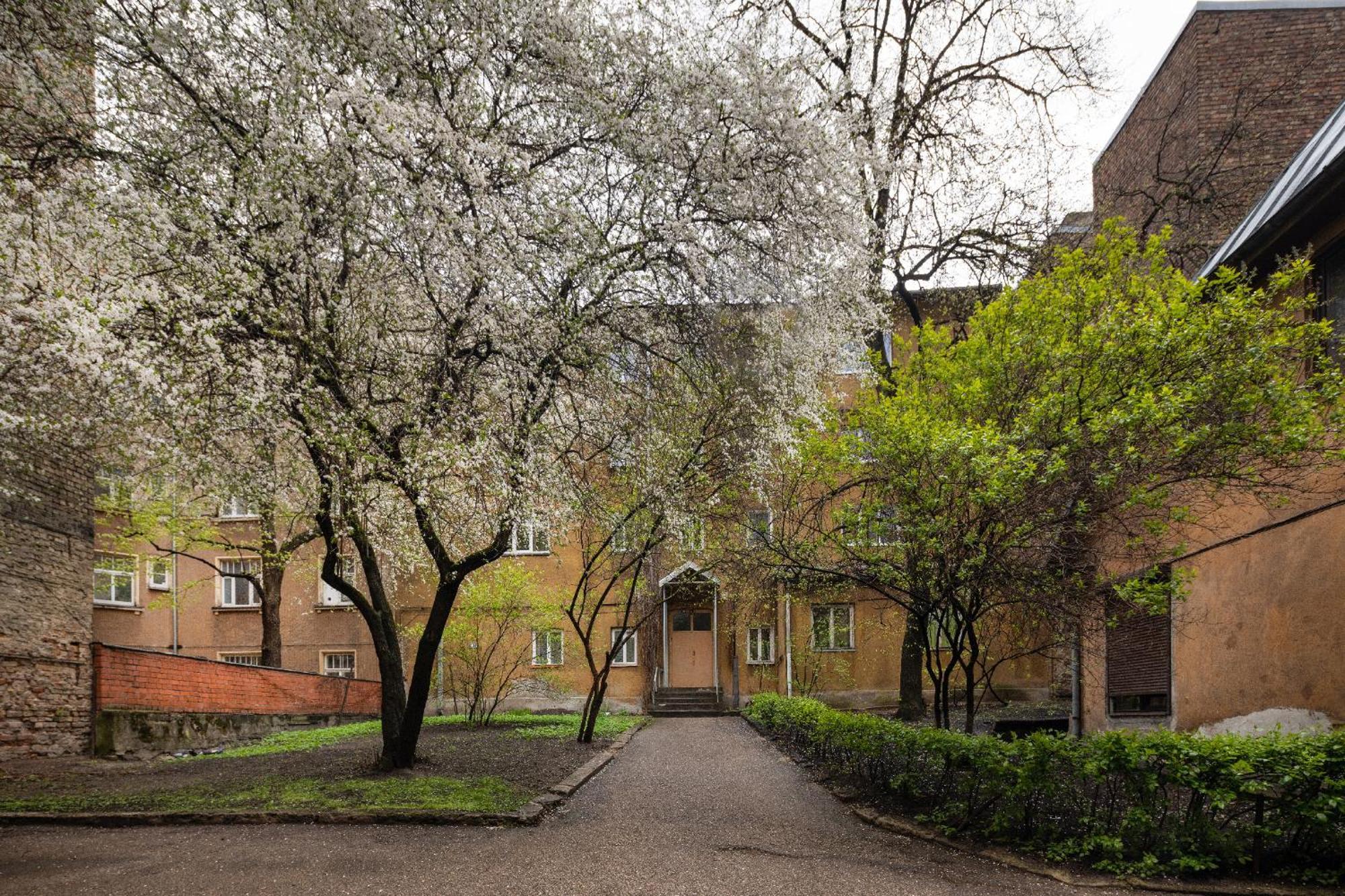 Brivibas Yard With Parking In Center Appartement *