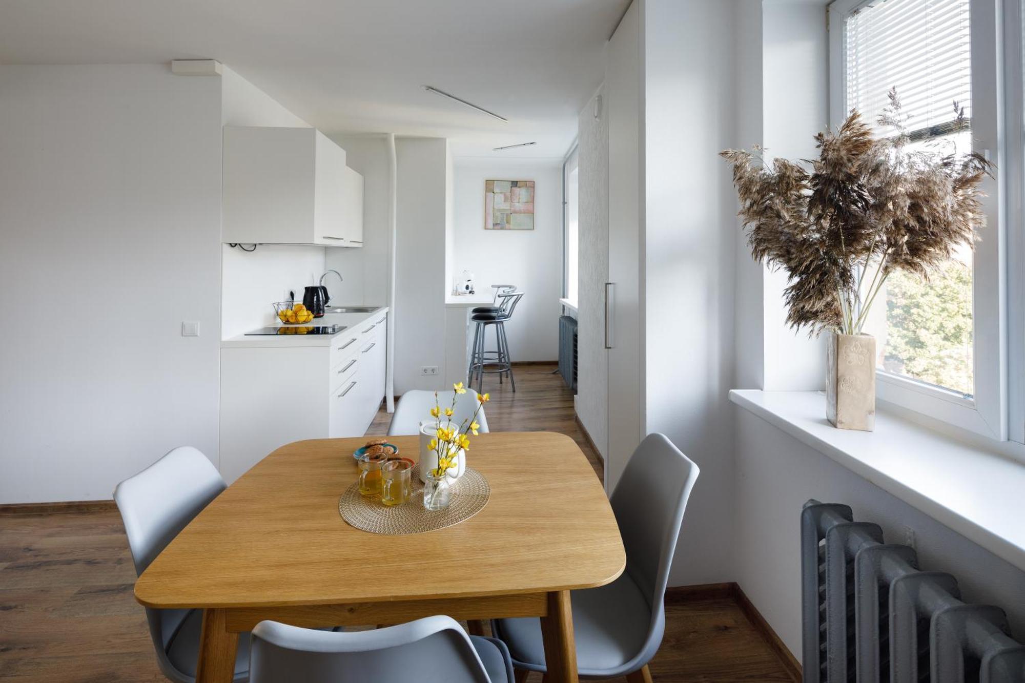 Brivibas Yard With Parking In Center Apartment *